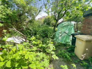 Rear Garden- click for photo gallery